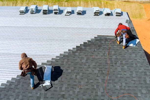 Best Residential Roof Replacement  in Fort Rucker, AL