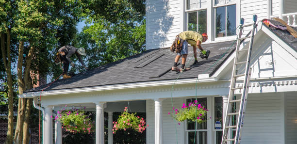 Best Roof Gutter Cleaning  in Fort Rucker, AL