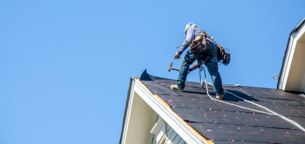Best Roof Repair Services  in Fort Rucker, AL